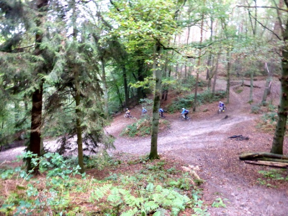 Mountain biking Bois de Reves Ottignies 2014